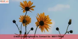 e mail care@rightaid in contact us 90511 70202
