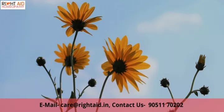 e mail care@rightaid in contact us 90511 70202