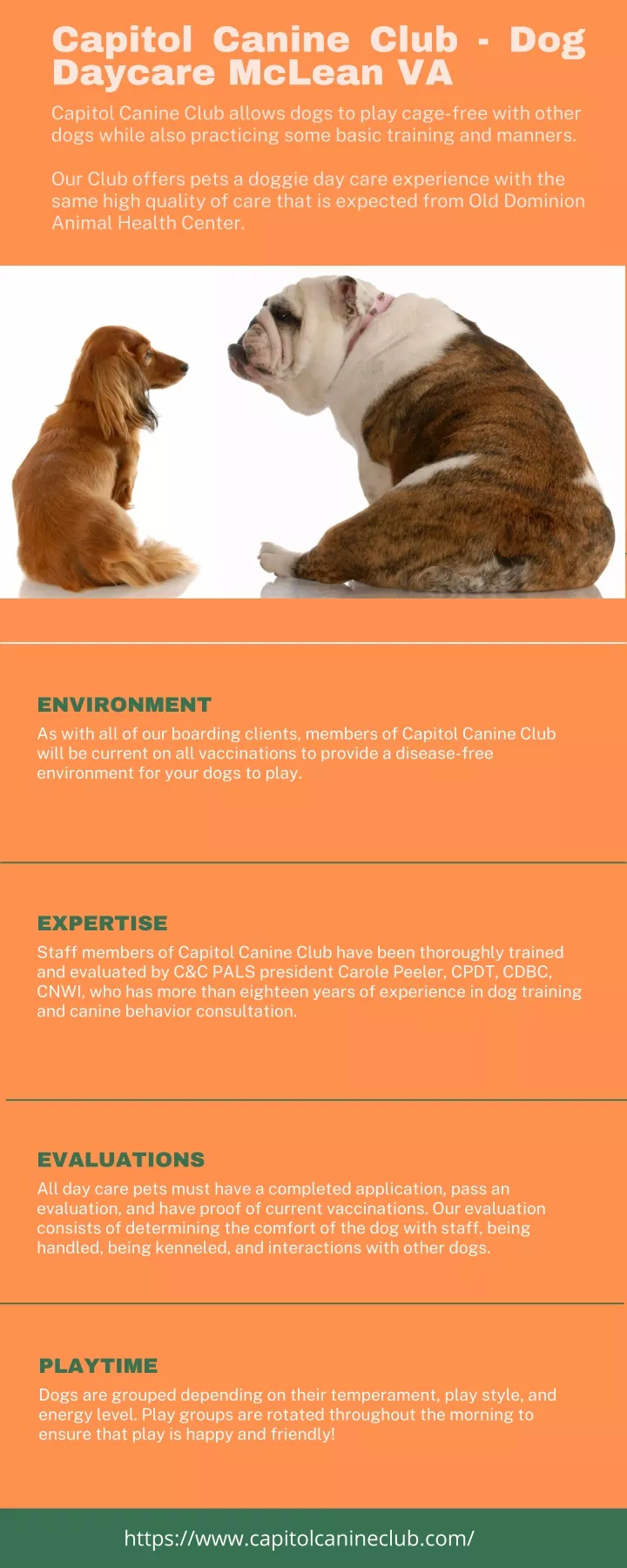 capitol canine club dog daycare mclean va