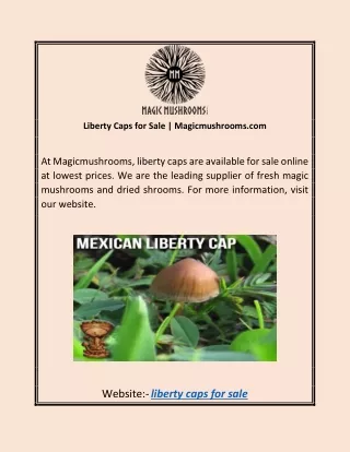 Liberty Caps for Sale | Magicmushrooms.com