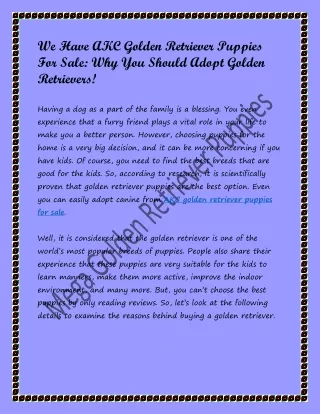 We Have AKC Golden Retriever Puppies For Sale Why You Should Adopt Golden Retrievers.pdf