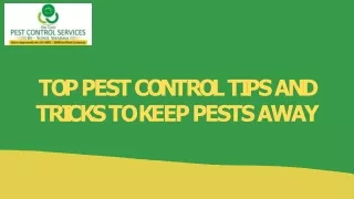Top Pest Control Tips and Tricks to Keep Pests Away