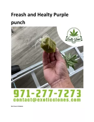 Freash and Healty Purple punch