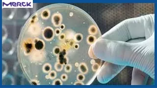 Microbiological testing and different types of testing