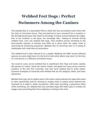 Webbed Feet Dogs : Perfect Swimmers Among the Canines