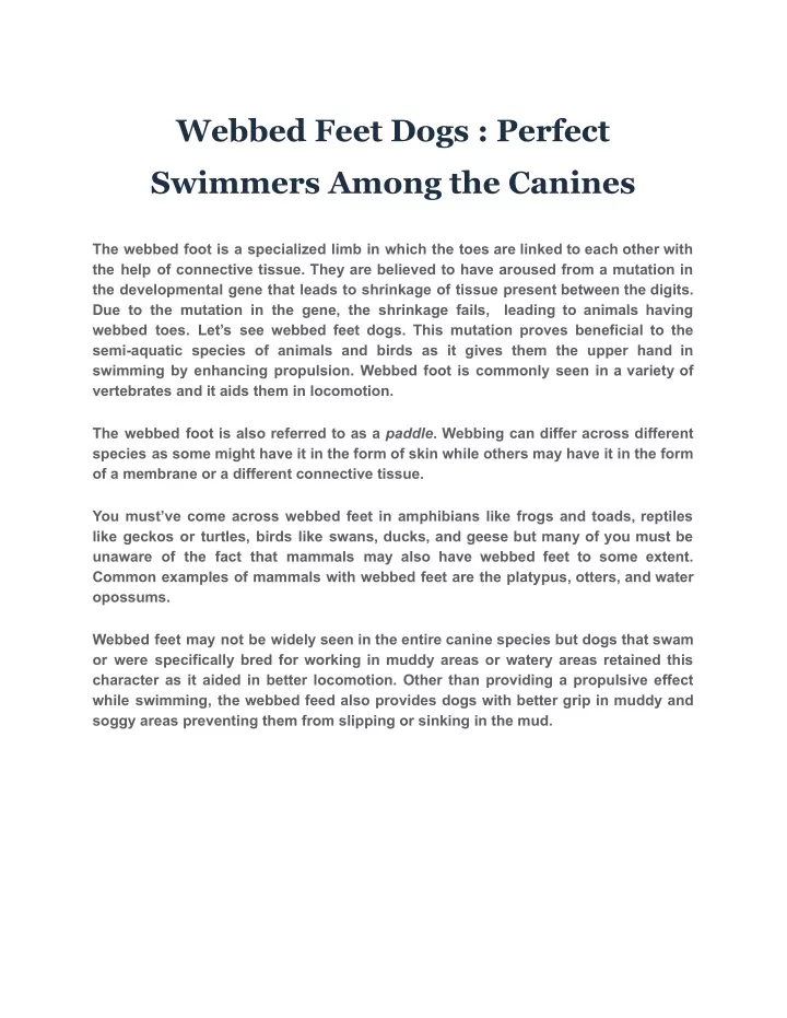 webbed feet dogs perfect