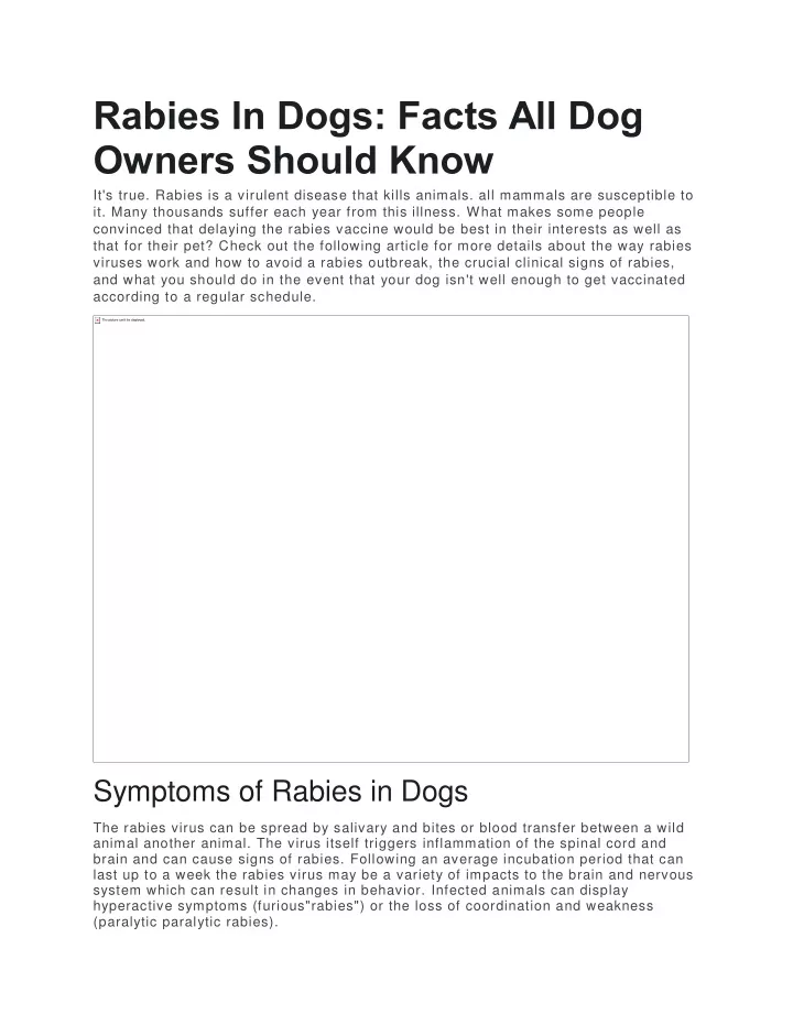 rabies in dogs facts all dog owners should know