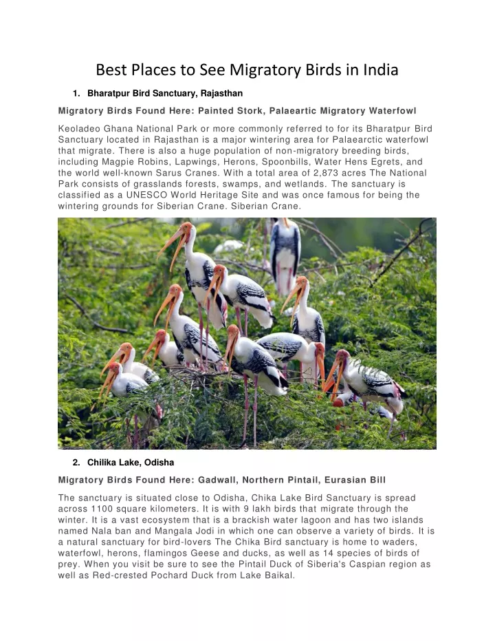 powerpoint presentation on migratory birds in india