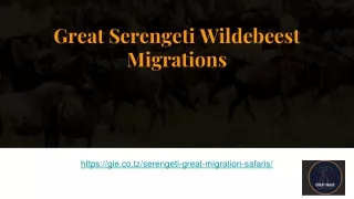 great serengeti wildebeest migrations