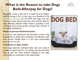 What is the Reason to take Dogs Beds Afterpay for Dogs