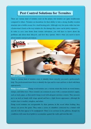 pest control solutions for termites