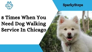sparkysteps