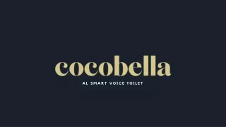 Why You Should Upgrade To a Smart Toilet -Cocobella