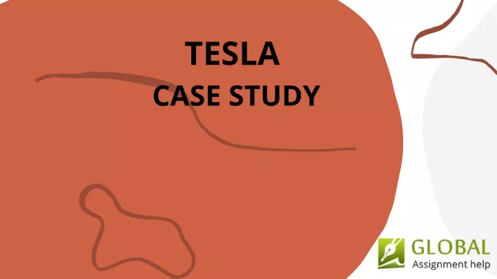 tesla project management case study