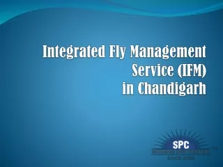 Pest Control Integrated Flies Management Service (IFM)
