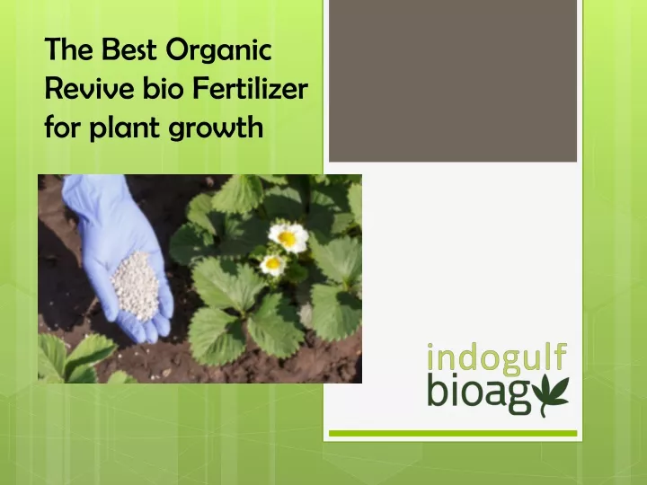 the best organic revive bio fertilizer for plant