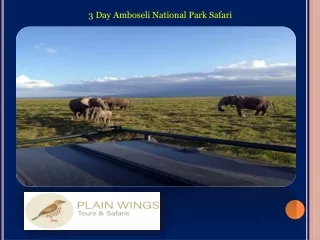 3 Day Amboseli National Park Safari