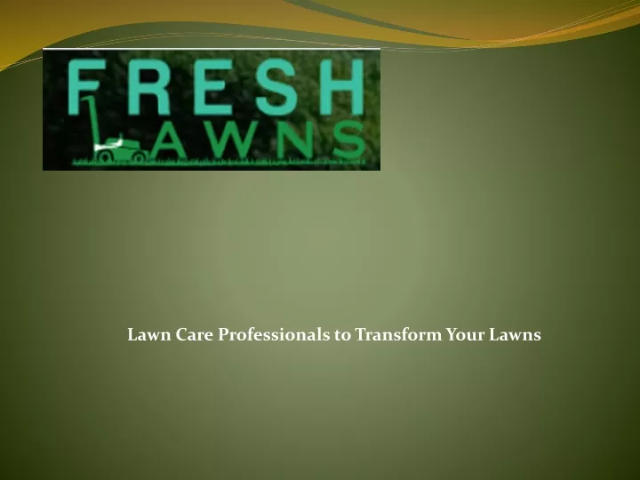 lawn care professionals to transform your lawns