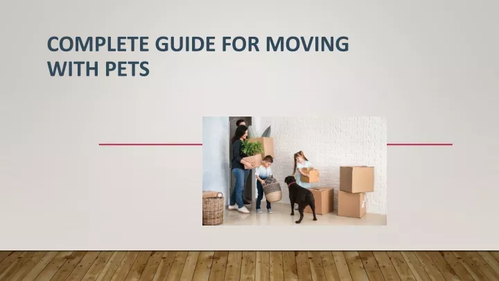 complete guide for moving with pets