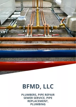 BFMD LLC
