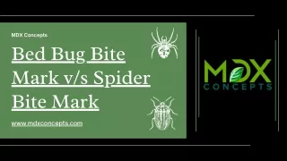 Bed Bug Bite Mark vs Spider Bite Mark