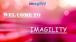 Find all about denials on H-1b now with Imagility