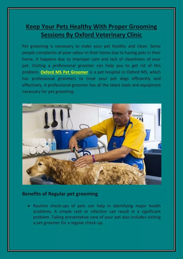 keep your pets healthy with proper grooming