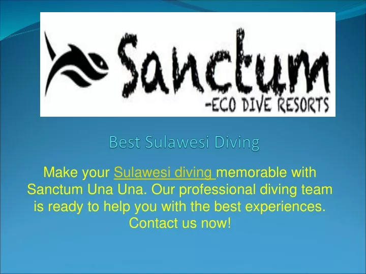 best sulawesi diving