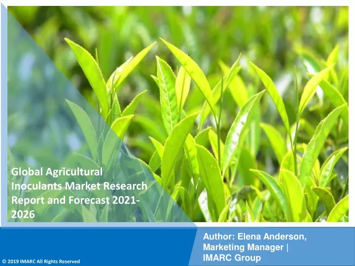 global agricultural inoculants market research