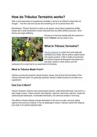 how do tribulus terrestris works