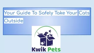 Your Guide To Safely Take Your Cats Outside