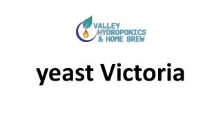 yeast victoria