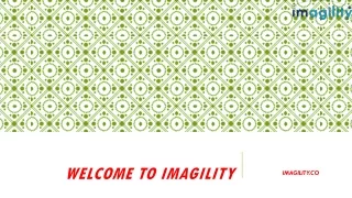 Discover H1-B extension at Imagility