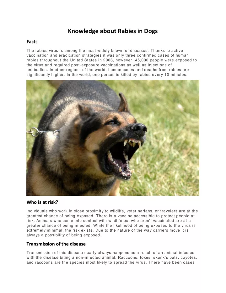 knowledge about rabies in dogs