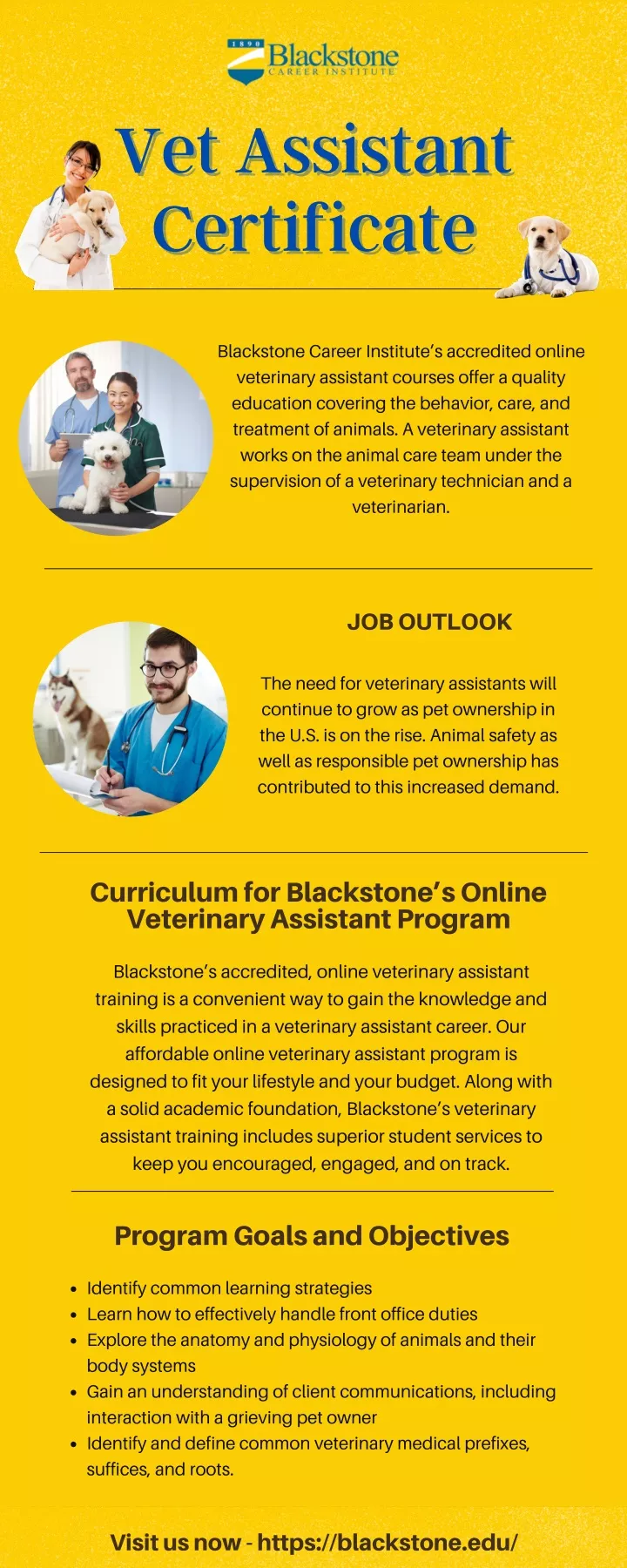 vet assistant vet assistant certificate