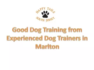 Good Dog Training from Experienced Dog Trainers in Marlton