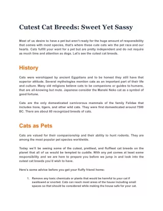 Cutest Cat Breeds: Sweet Yet Sassy
