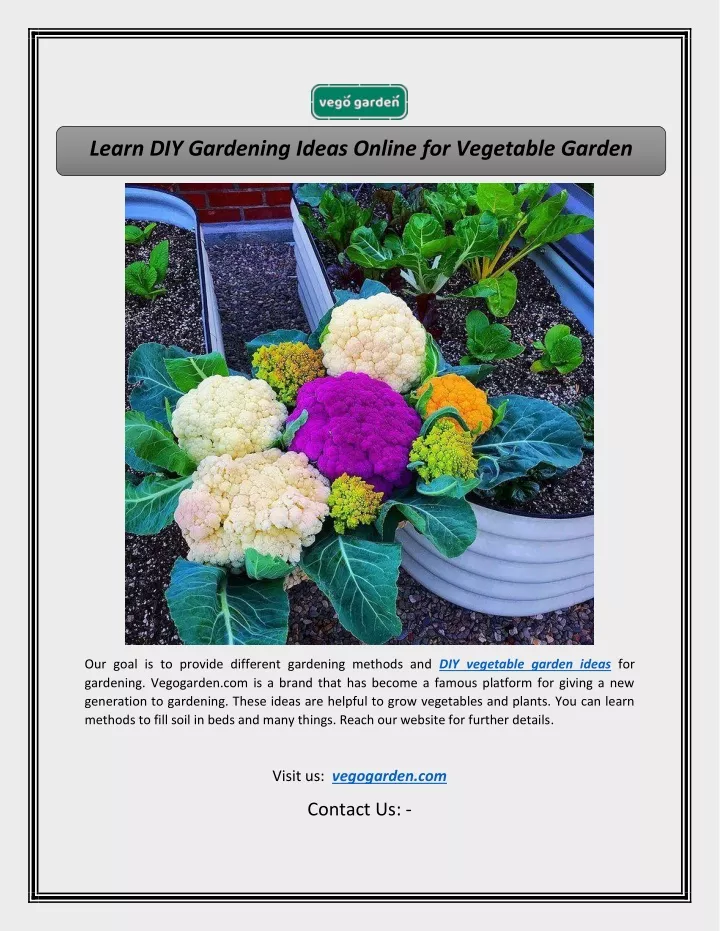 learn diy gardening ideas online for vegetable