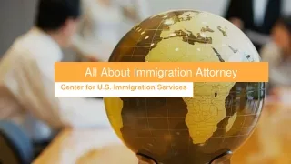 All About Immigration Attorney