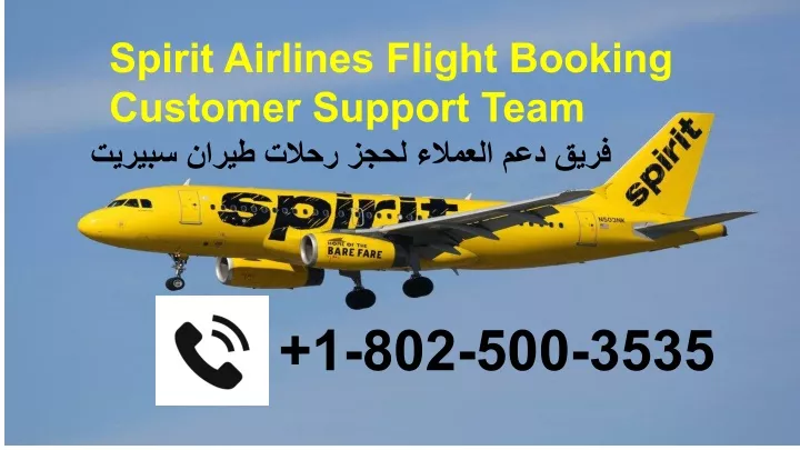 spirit airlines flight booking customer support