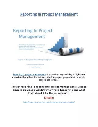 Reporting In Project Management