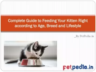 Complete Guide to Feeding Your Kitten Right according to Age, Breed and Lifestyle