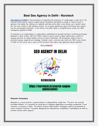 Best Seo Agency in Delhi - Nurotech
