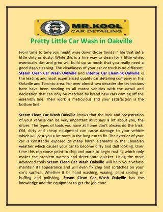 Pretty Little Car Wash in Oakville