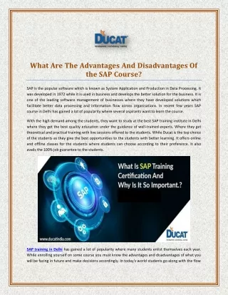 what are the advantages and disadvantages