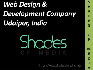 Best Website Design Company in Udaipur