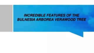 INCREDIBLE FEATURES OF THE BULNESIA ARBOREA VERAWOOD TREE