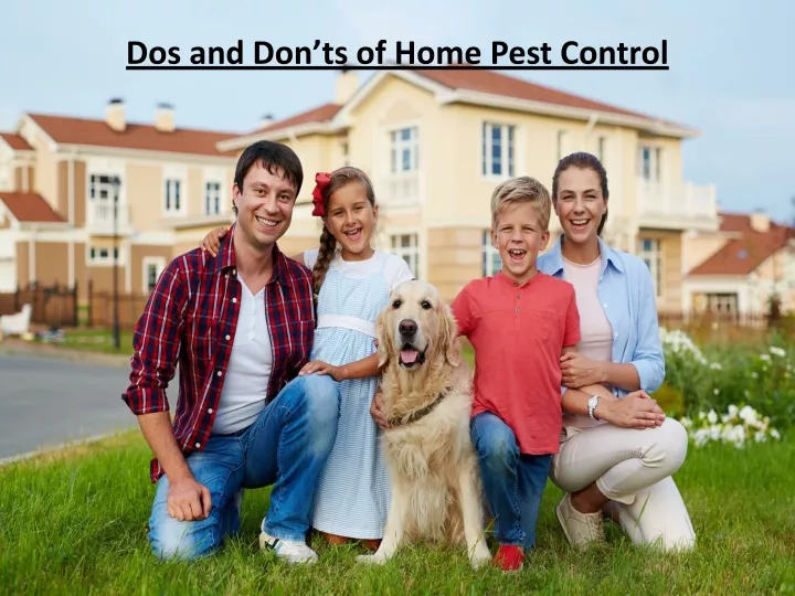 dos and don ts of home pest control