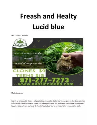 Freash and Healty Lucid blue