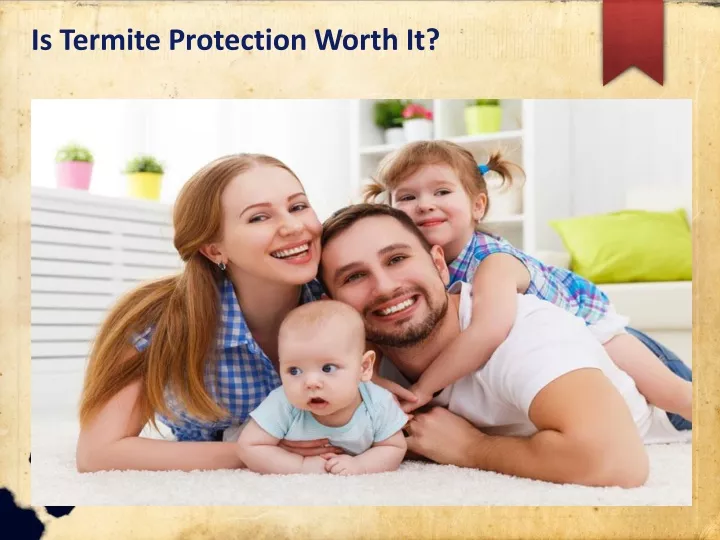 is termite protection worth it
